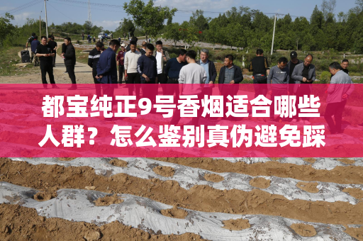 都宝纯正9号香烟适合哪些人群？怎么鉴别真伪避免踩坑？